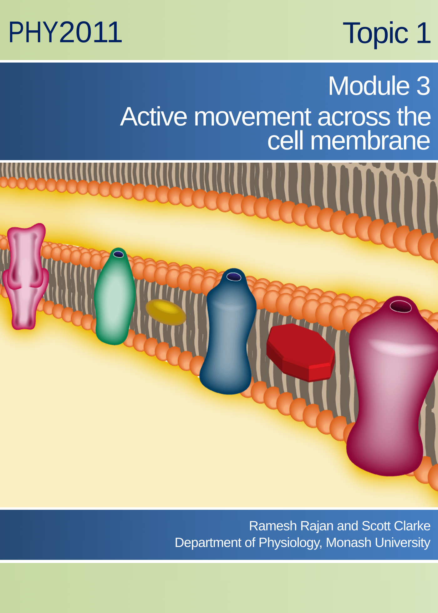 Topic 1 Module 3: Active movement across the cell membrane