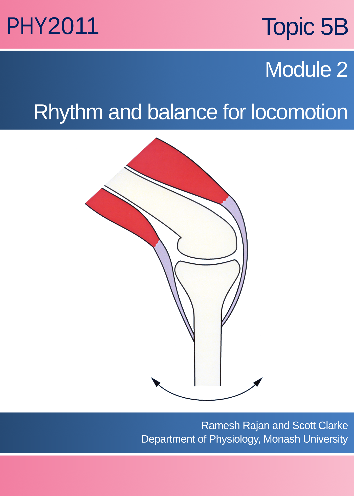 Movement control: Rhythm and balance for locomotion