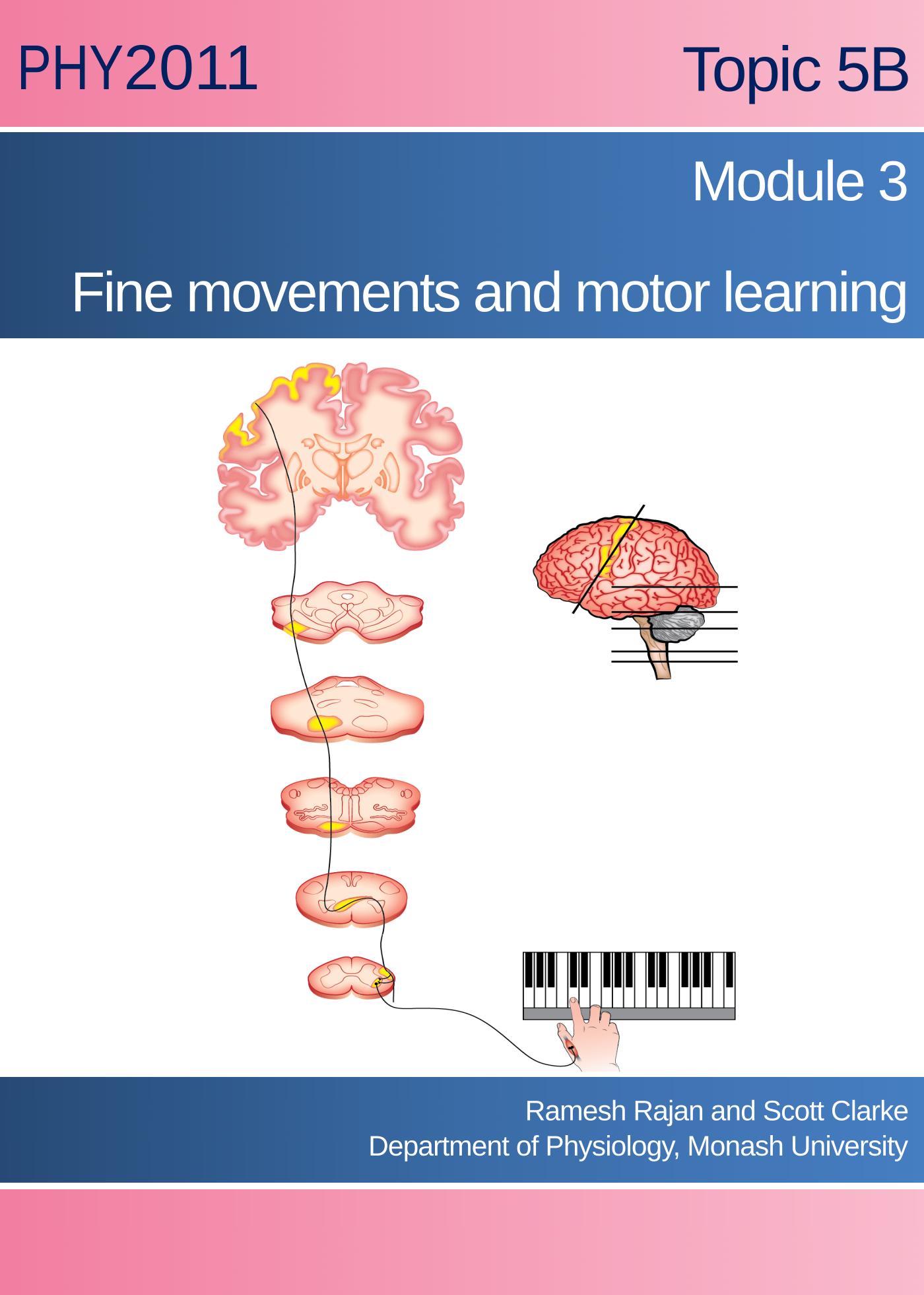 Movement control: Fine movements and motor learning