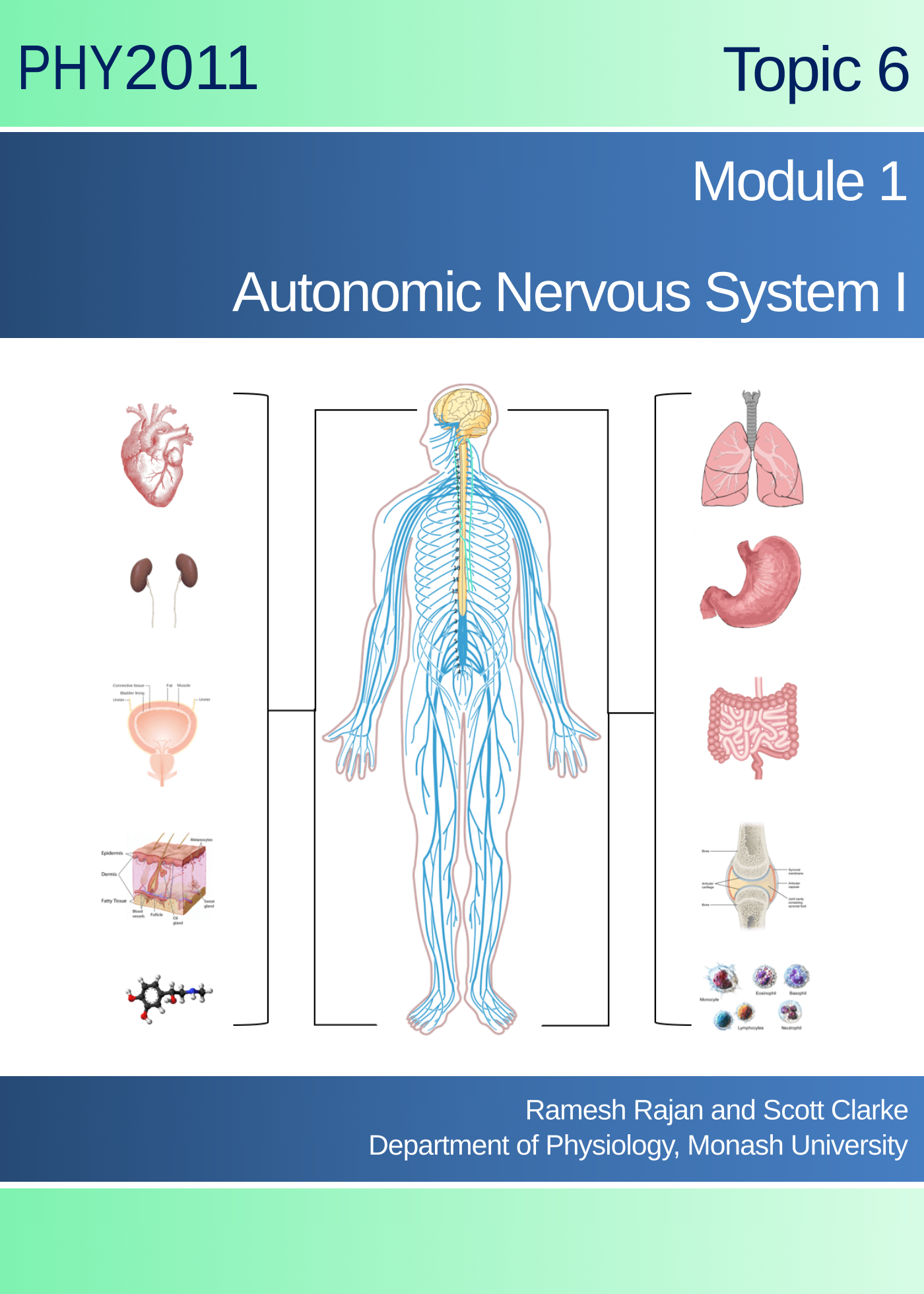 Autonomic Nervous System I