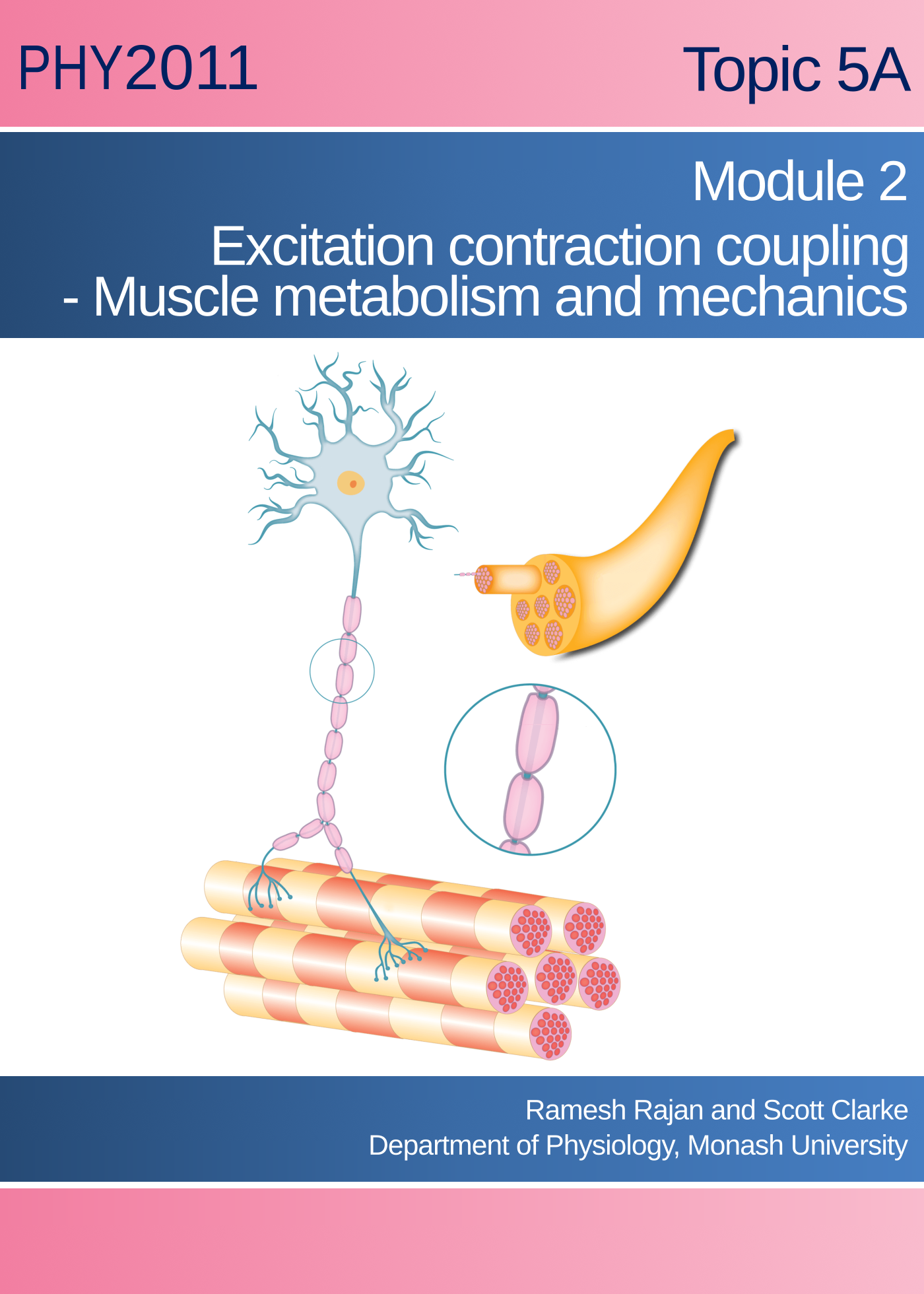 Skeletal Muscle Module 2: Excitation contraction coupling, Muscle metabolism and mechanics