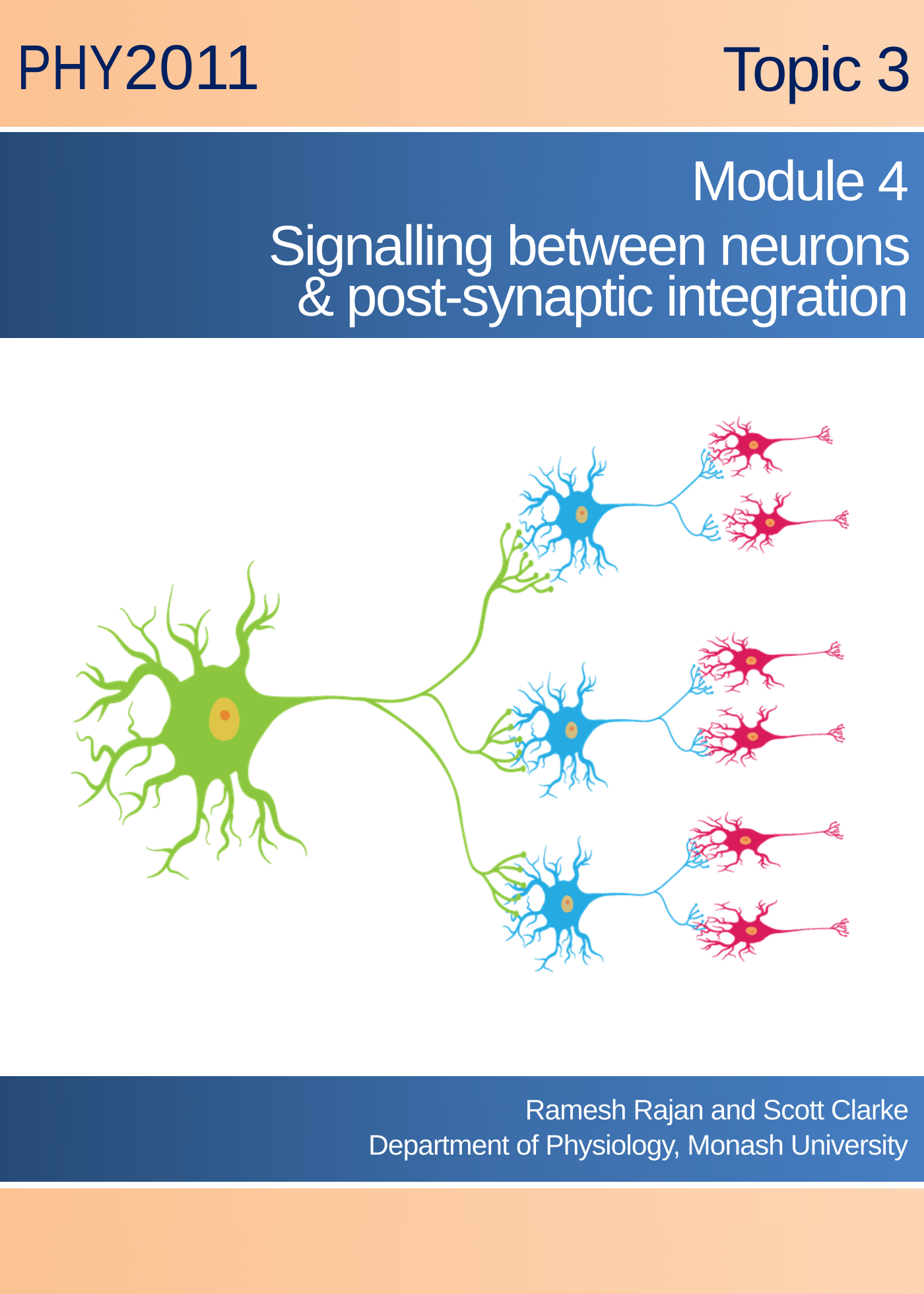 Topic 3 Module 4: Signalling between neurons & post-synaptic integration