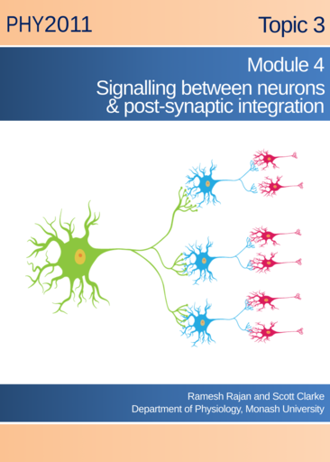 Signalling between neurons & post-synaptic integration