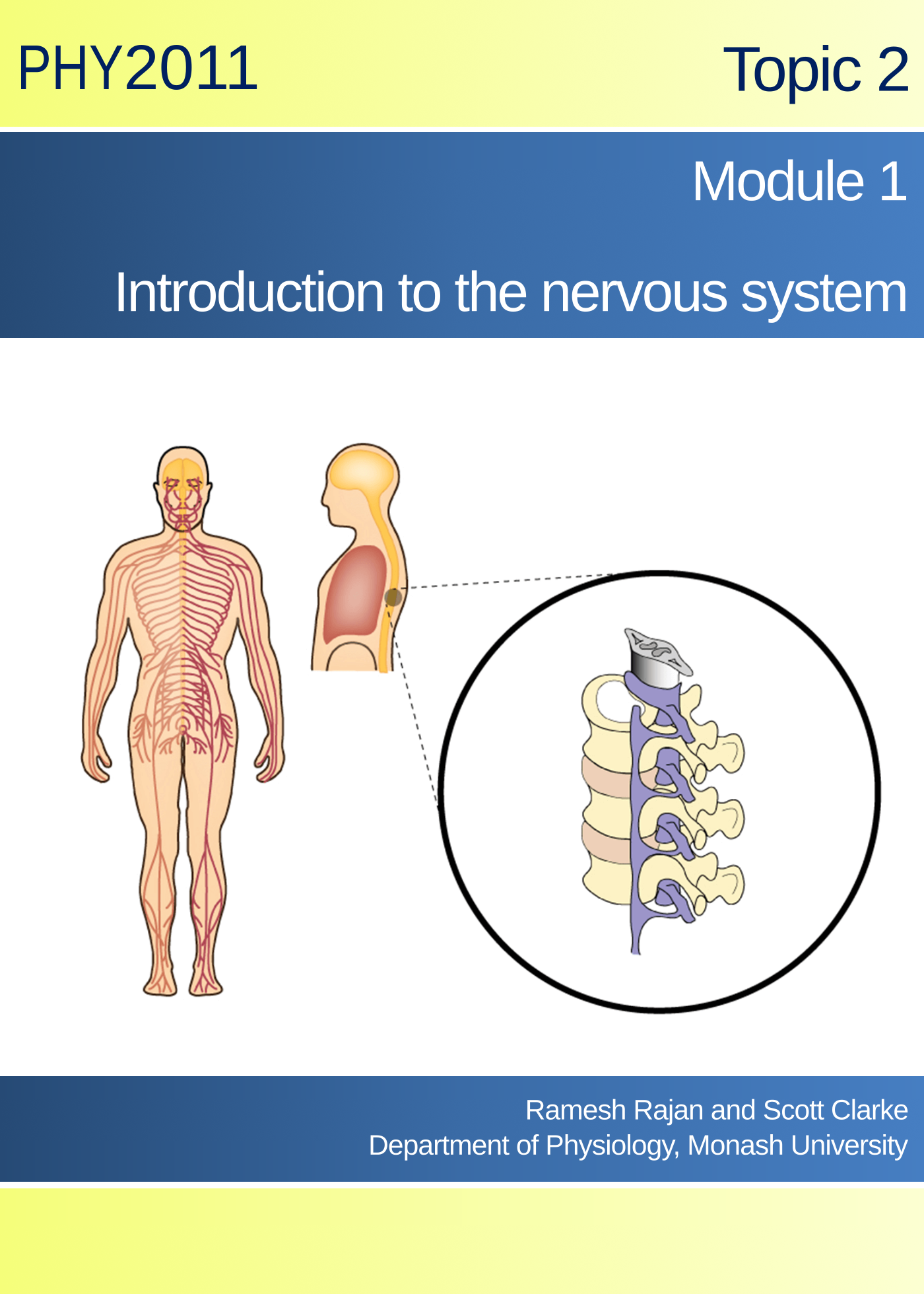 Topic 2 Module 1: Introduction to the Nervous System