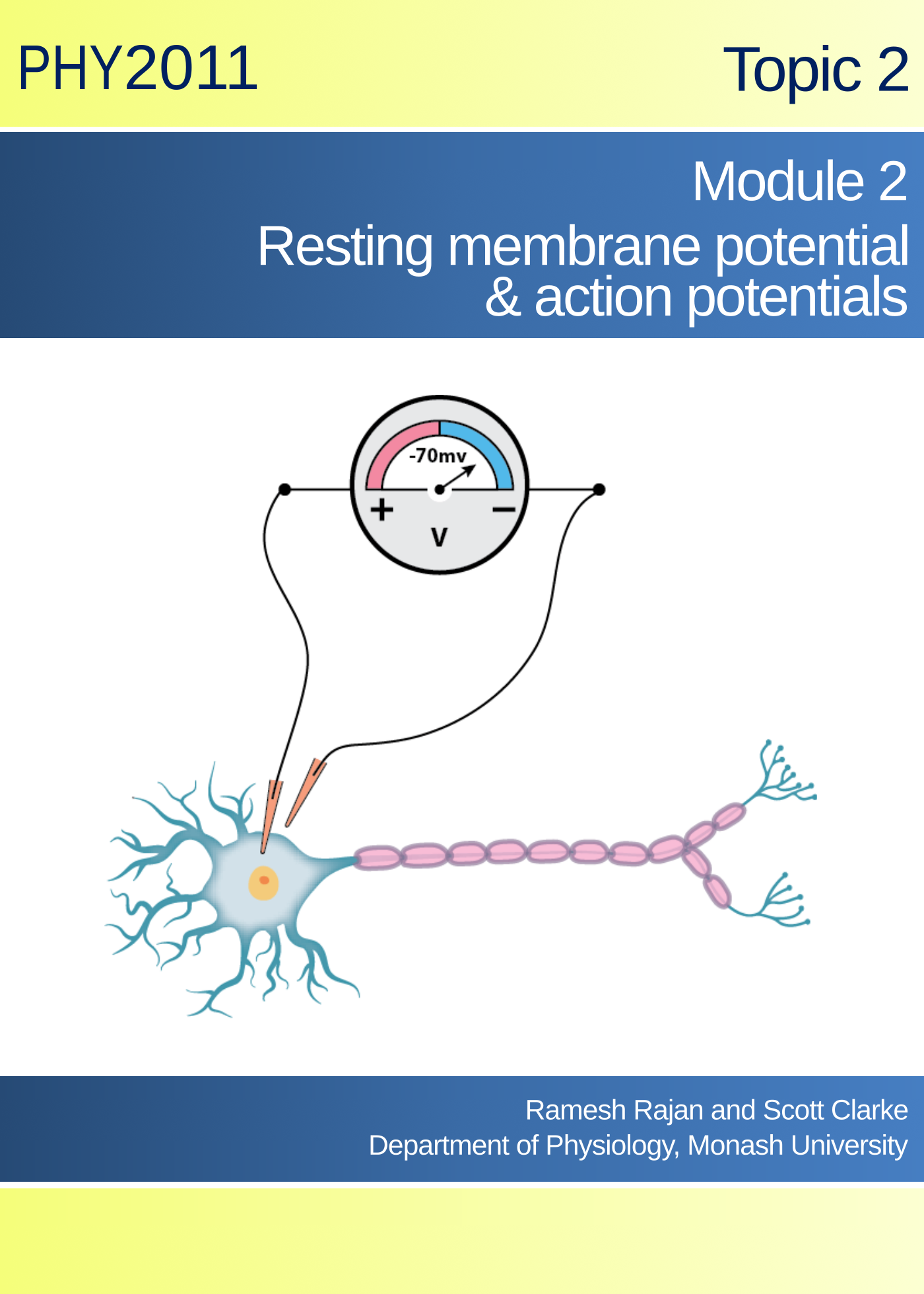 Topic 2 Module 2: The Resting Membrane and Action Potentials