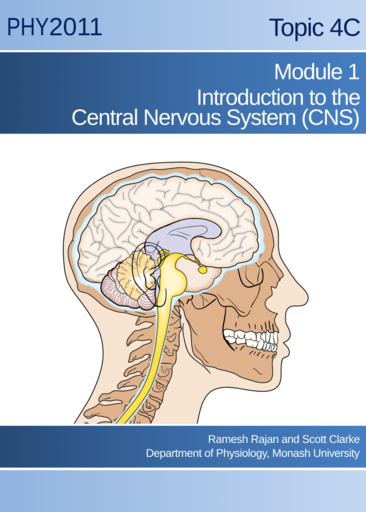 Introduction to the central nervous system (CNS)