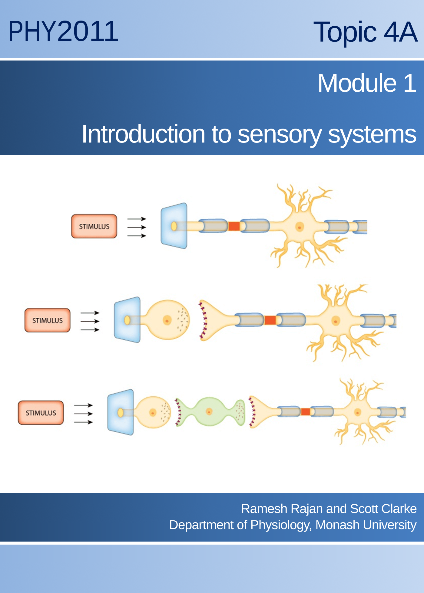 Topic 4A Module 1: Introduction to sensory systems