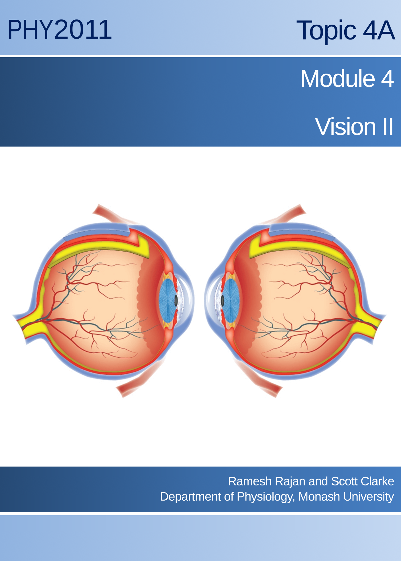 Topic 4A Module 4: Vision II