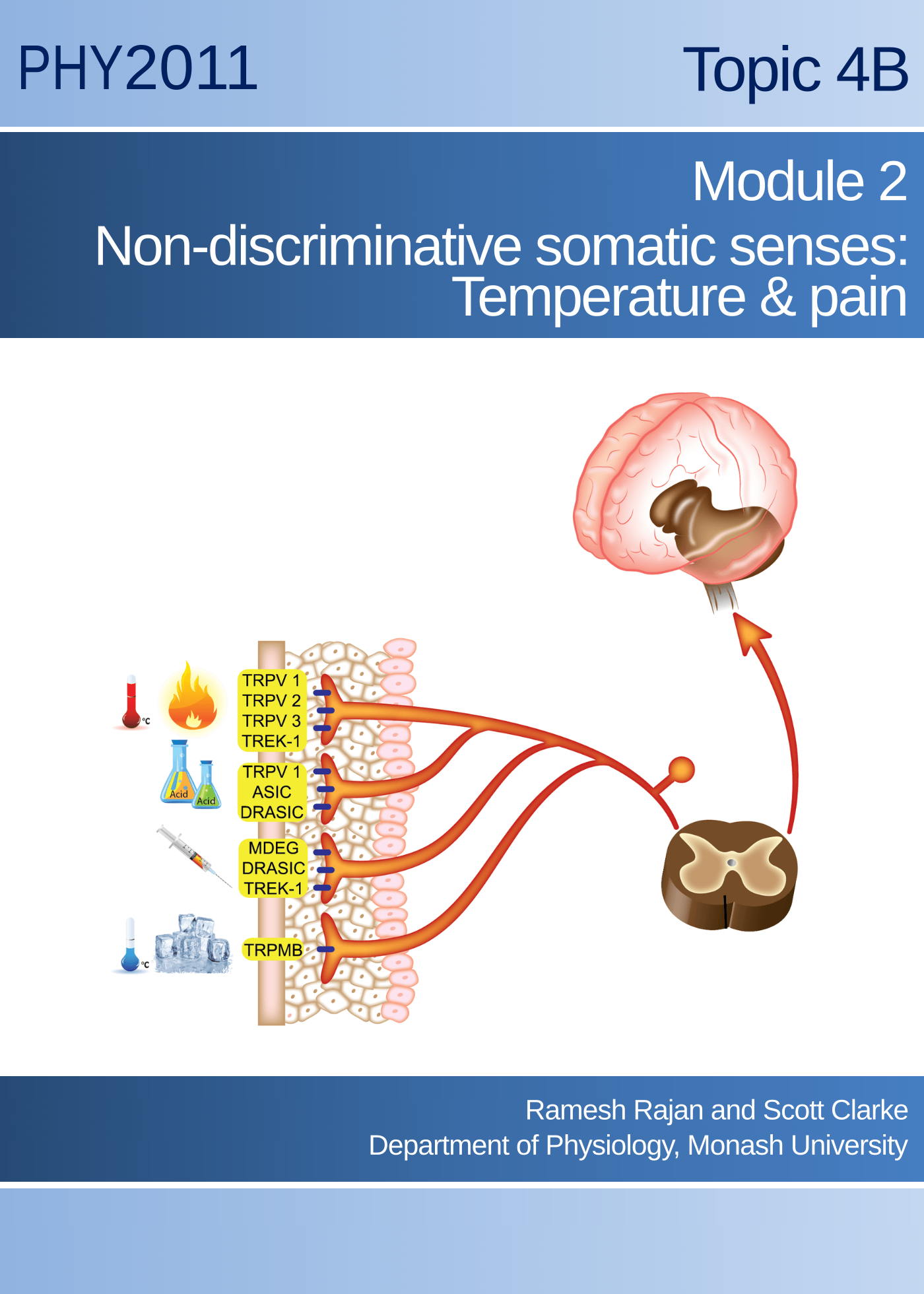 Topic 4B Module 2 Temperature and pain senses