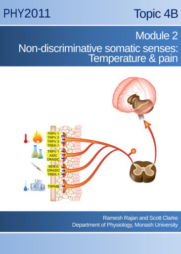 Non-discriminative somatic senses: Temperature & pain