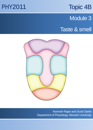 Taste & smell