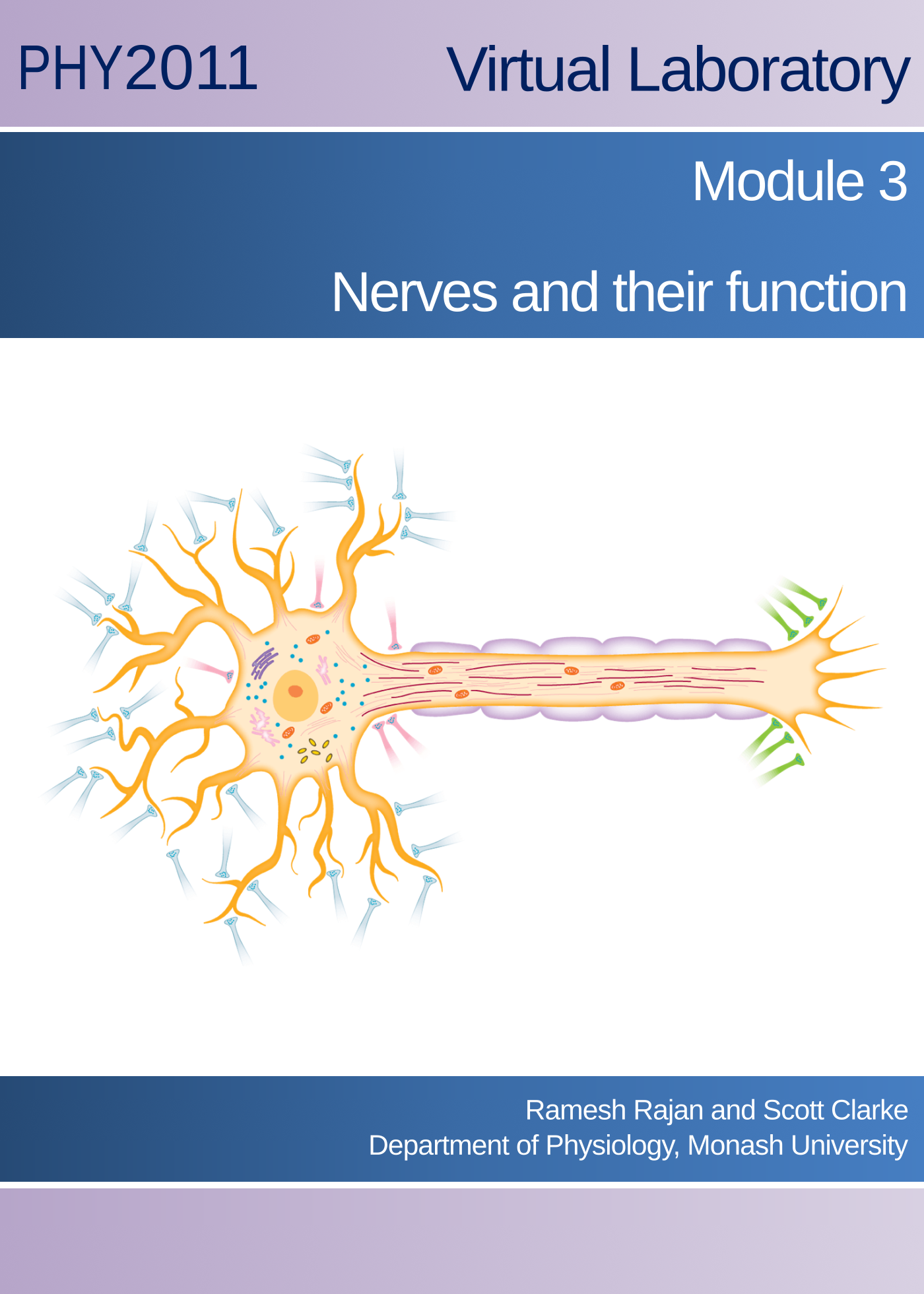 Virtual Practical Class: Nerves and their function