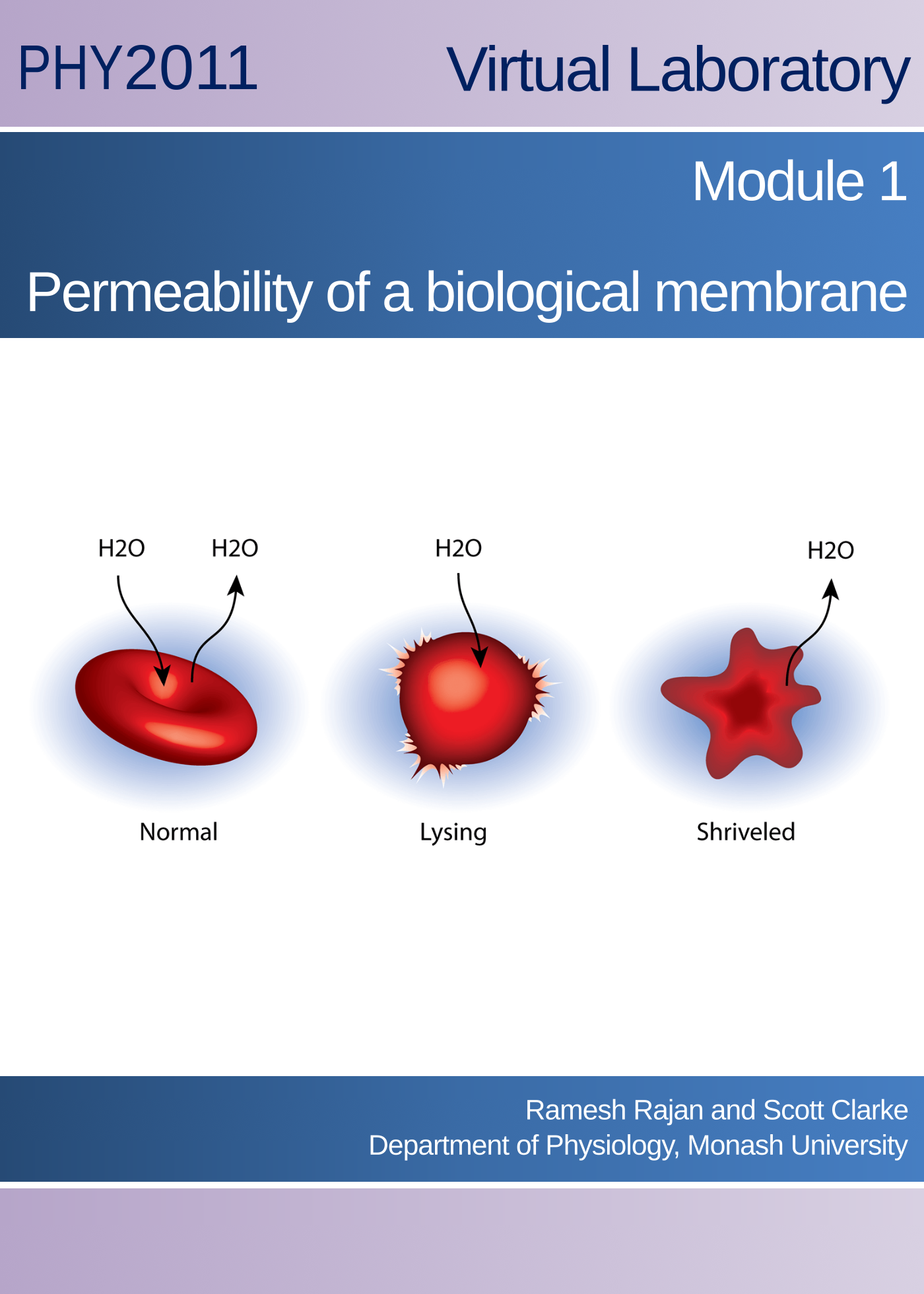 Virtual Practical Class: Permeability of a Biological Membrane