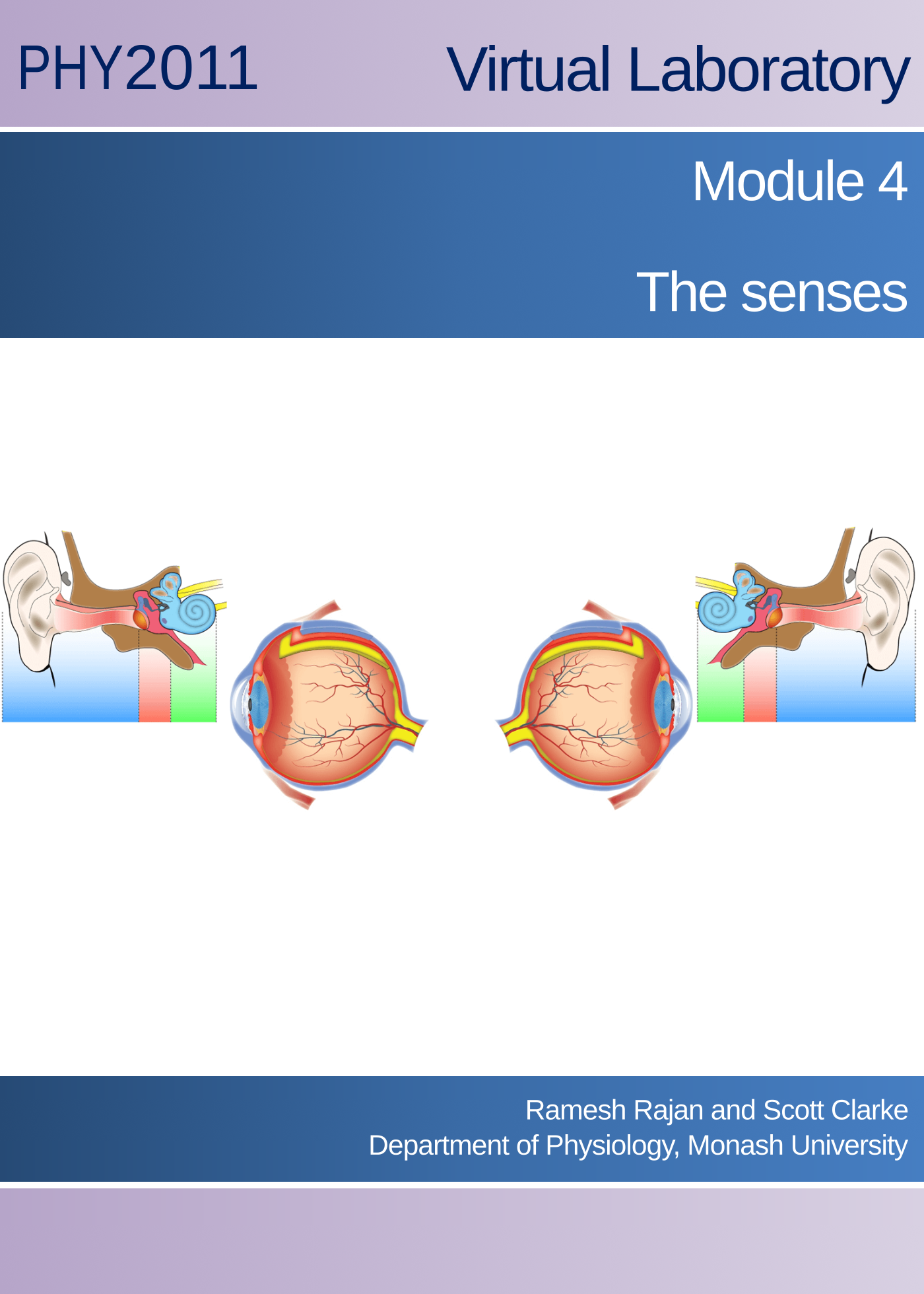 Virtual Practical Class: The Senses