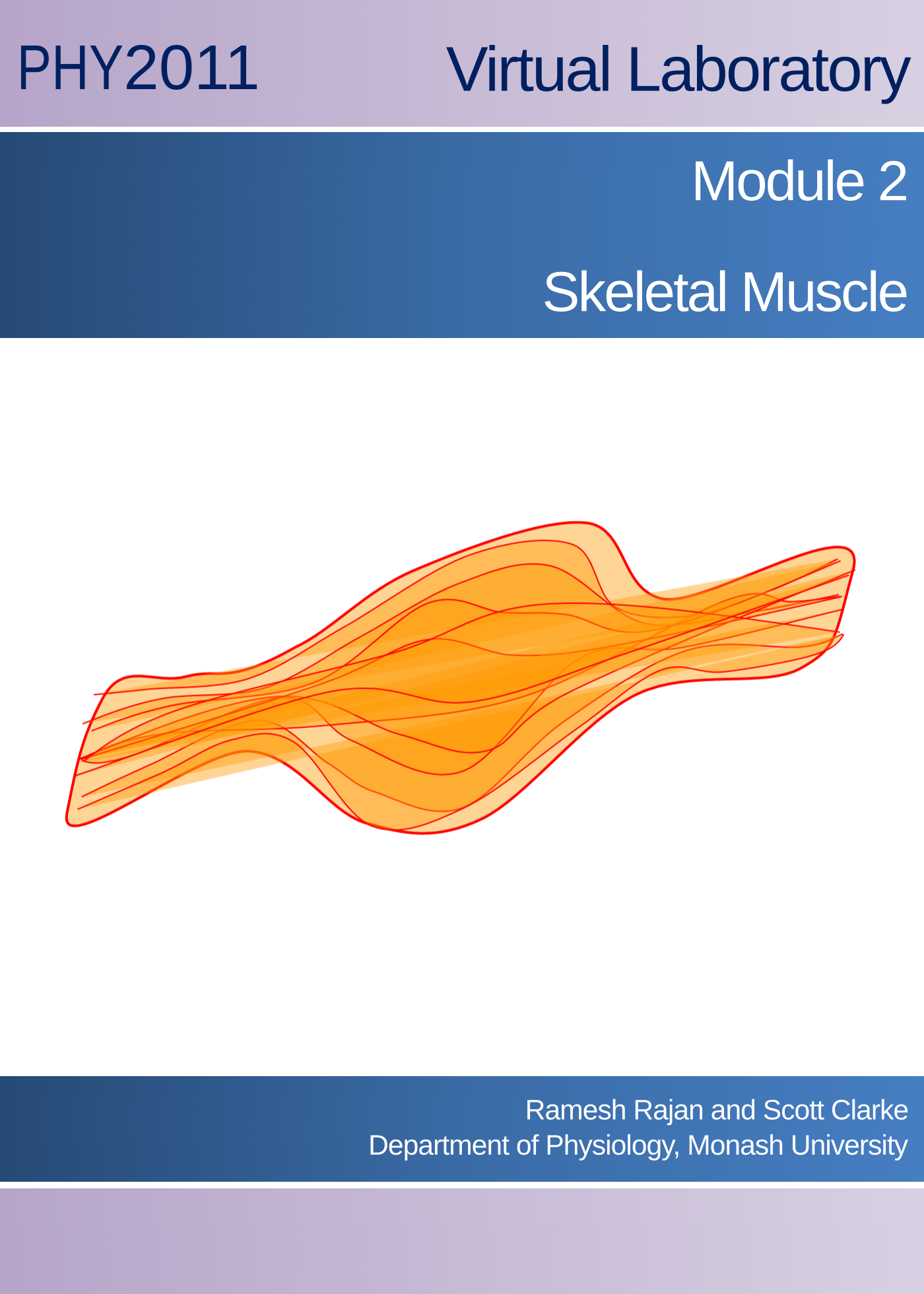 Virtual Practical Class: Skeletal Muscle