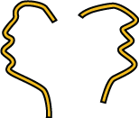 Vas deferens