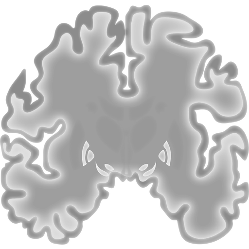 Brain slice