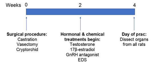 Timeline of treatments